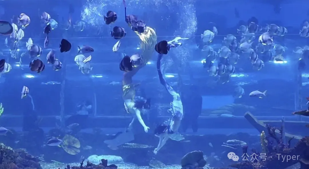 南海海洋馆 (10).webp