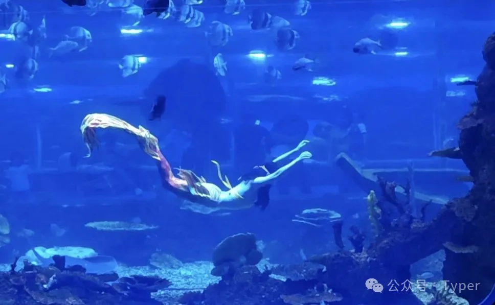 南海海洋馆 (8).webp